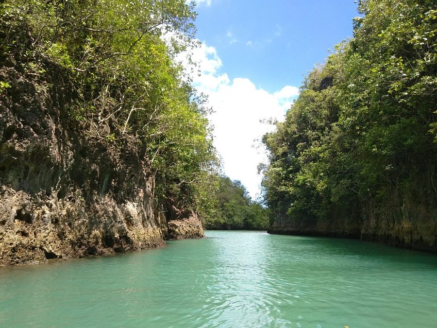 the river