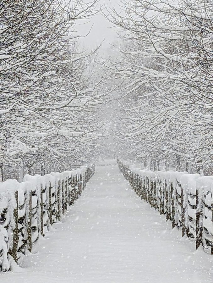 snow path